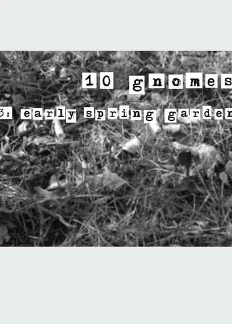 10 Gnomes 3: Spring Garden March
