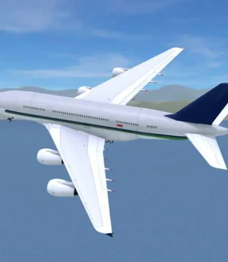 Airport Madness 3D