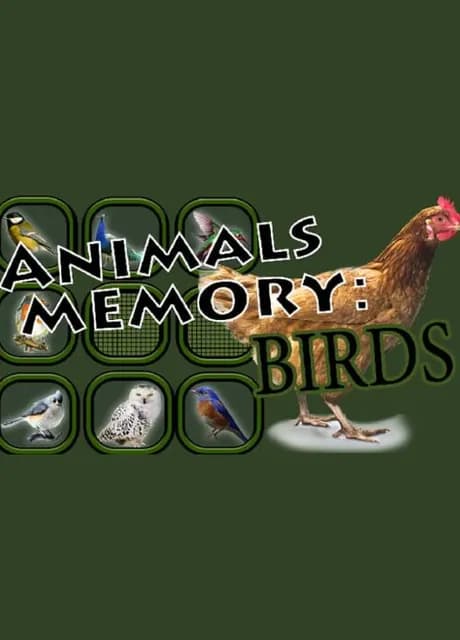 Animals Memory: Birds