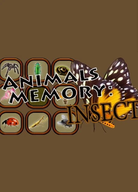 Animals Memory: Insect