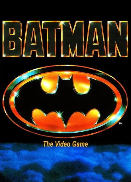 Batman: The Video Game