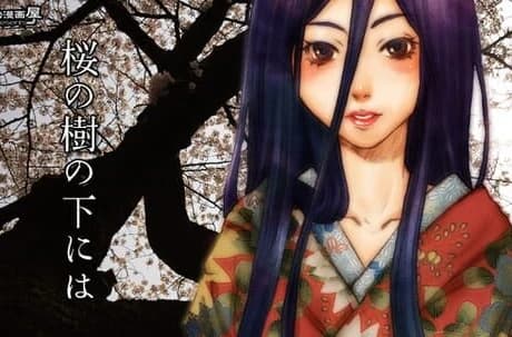 Beneath the Cherry Trees