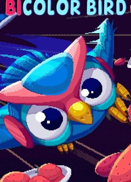 Bicolor Bird