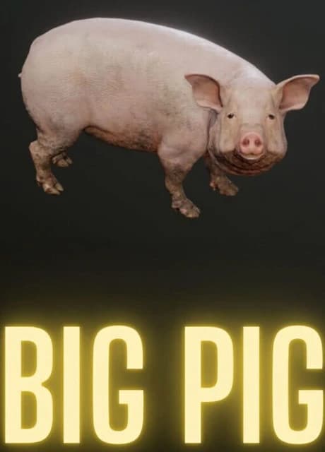 Big Pig