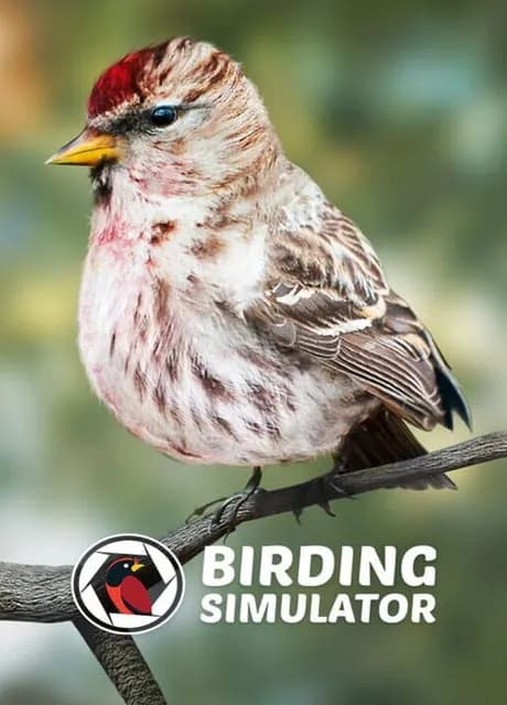 Birding Simulator