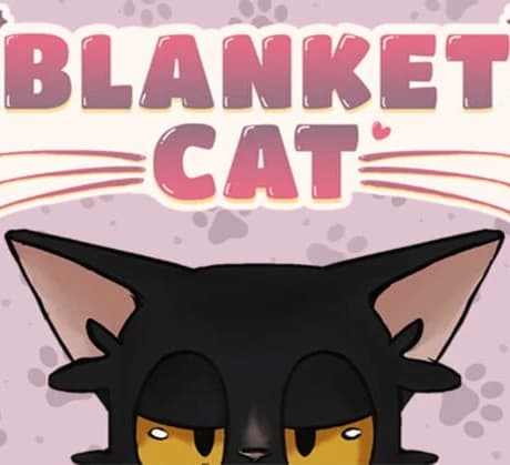 Blanket Cat