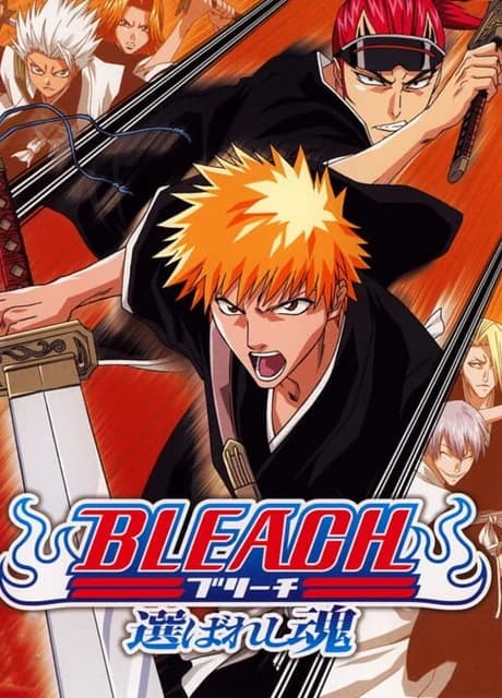 Bleach: Erabareshi Tamashi