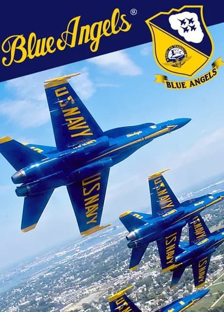 Blue Angels Aerobatic Flight Simulator