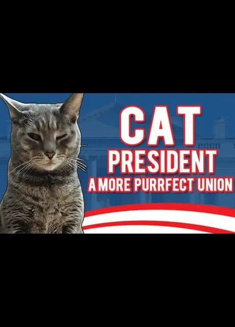 Cat President: A More Purrfect Union