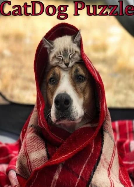 CatDog Puzzle