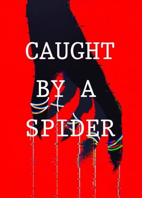 Caught by a Spider