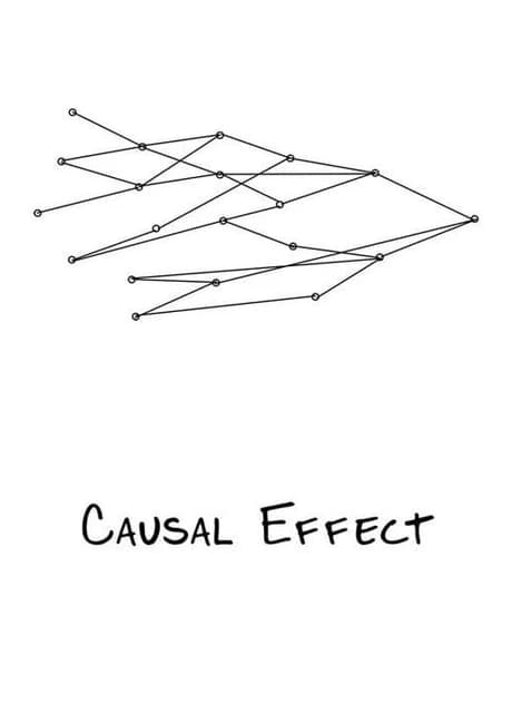 Causal Effect