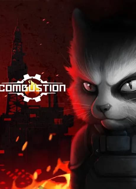Combustion