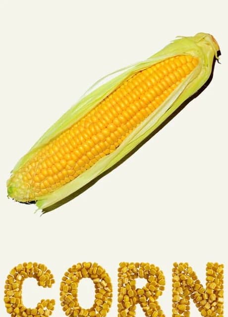 Corn