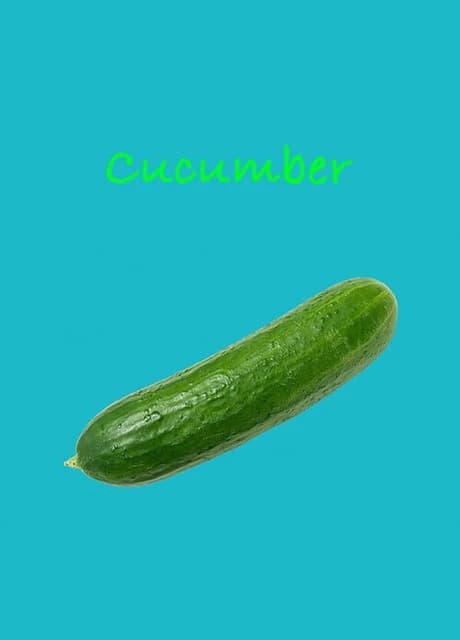 Cucumber