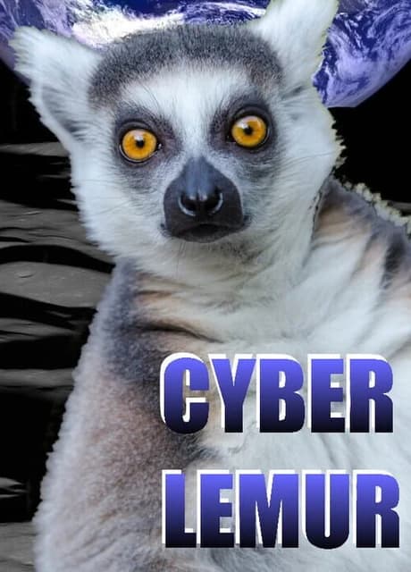 Cyber Lemur