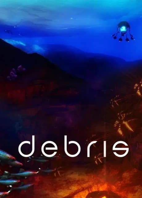 Debris