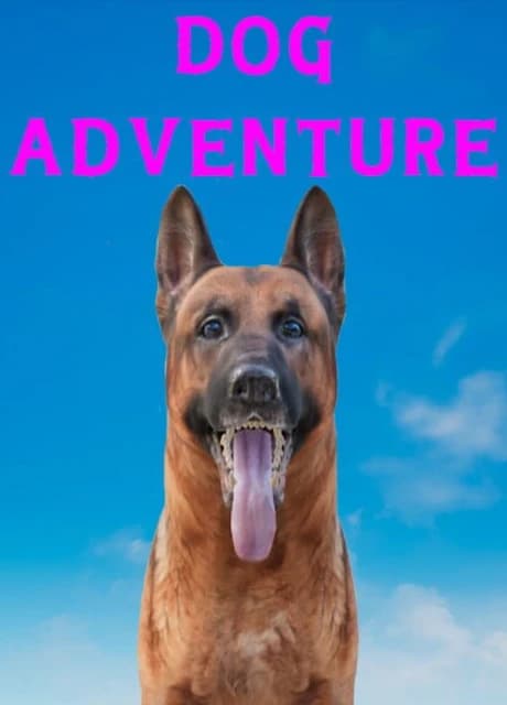 Dog Adventure