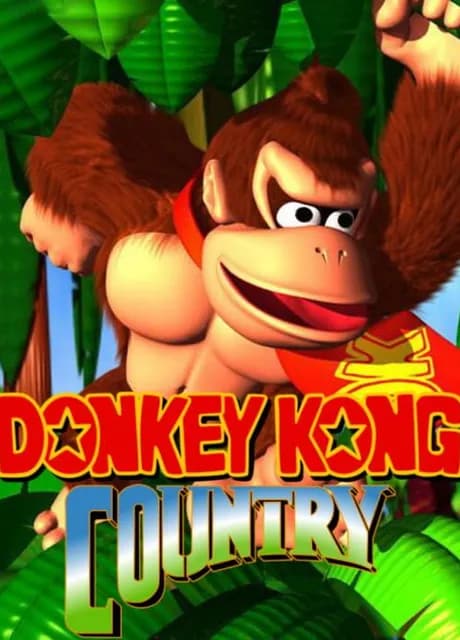 Donkey Kong Country