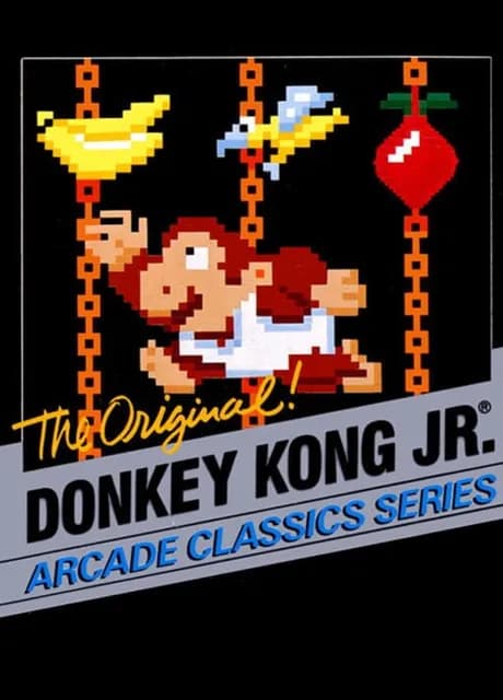 Donkey Kong Jr.