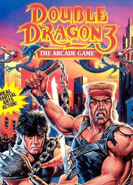 Double Dragon 3: The Arcade Game