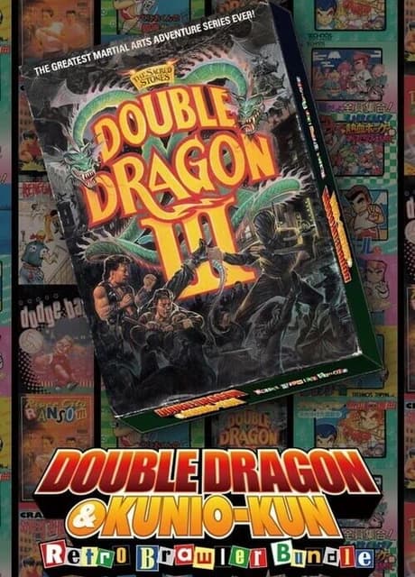 Double Dragon III: The Sacred Stones