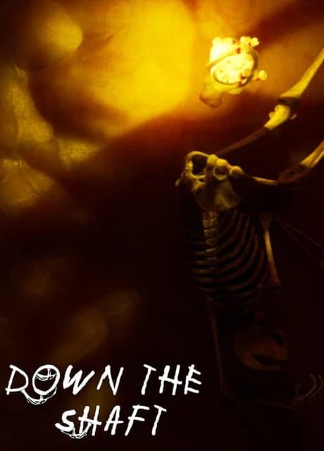 Down the Shaft
