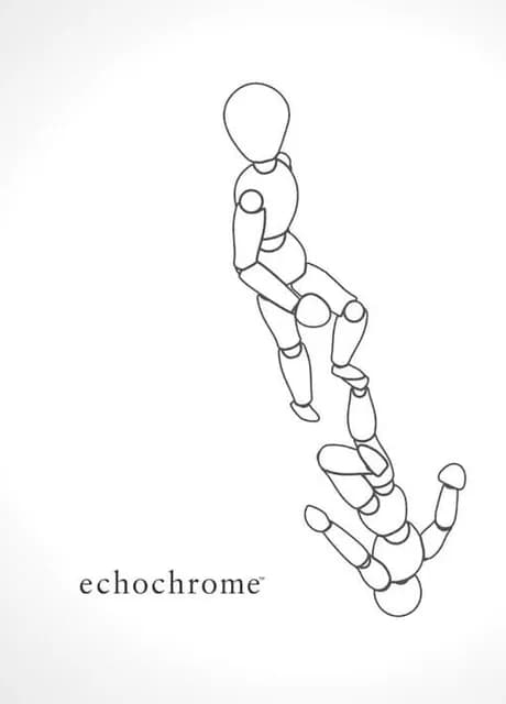 Echochrome