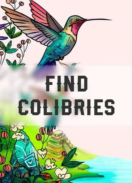 Find Colibries