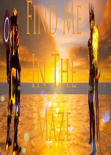 Find Me in the Maze