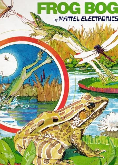 Frog Bog