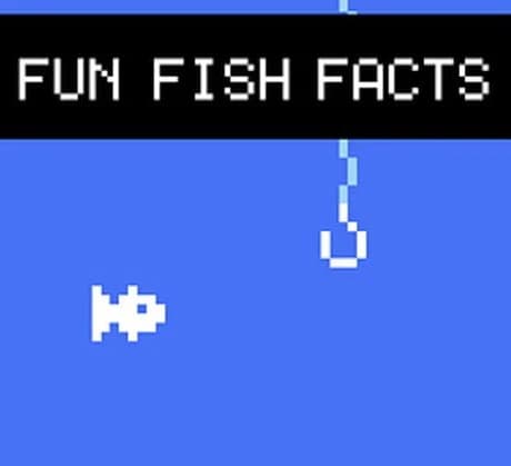 Fun Fish Facts