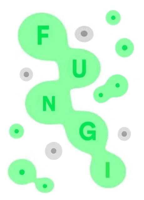Fungi