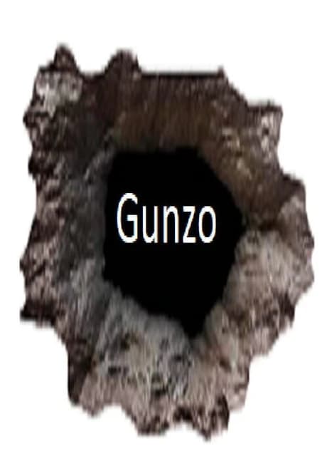 Gunzo!