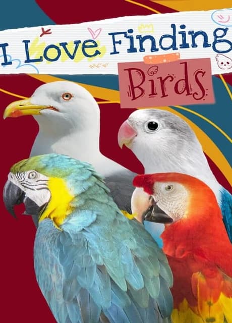 I Love Finding Birds