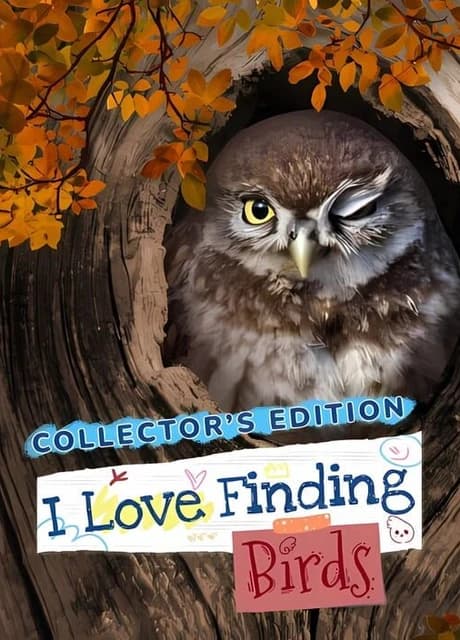 I Love Finding Birds: Collector's Edition