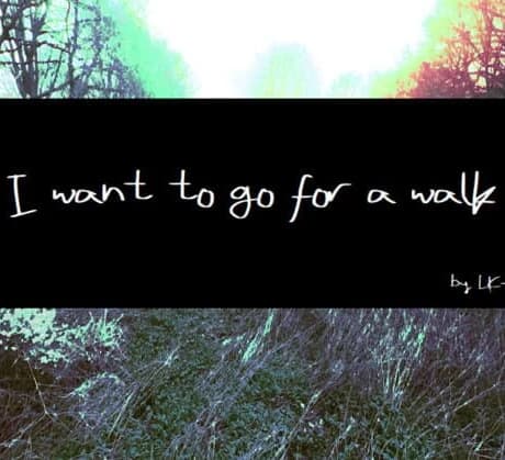 I Want to Go for a Walk