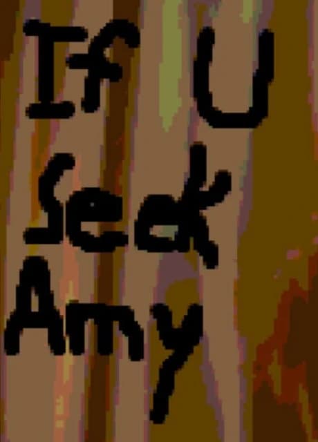 If U Seek Amy