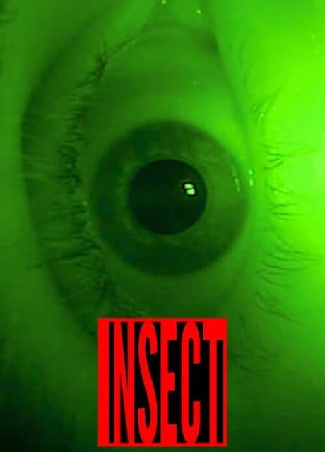 Insect