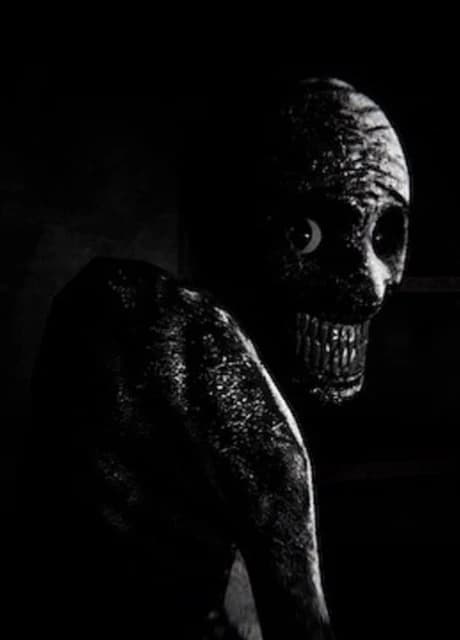Insomnis Experiment