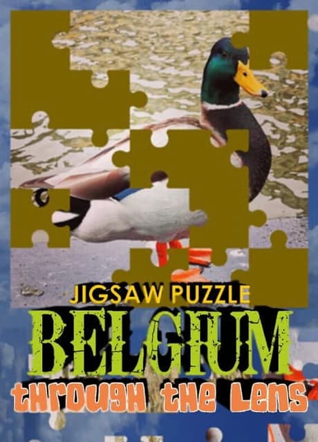 Jigsaw Puzzle: Belgium Through the Lens