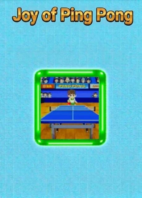 Joy of Ping Pong
