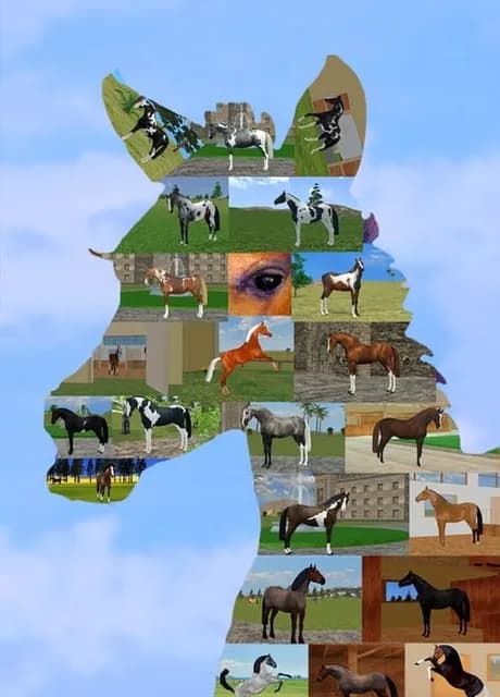 Jumpy Horse Breeding