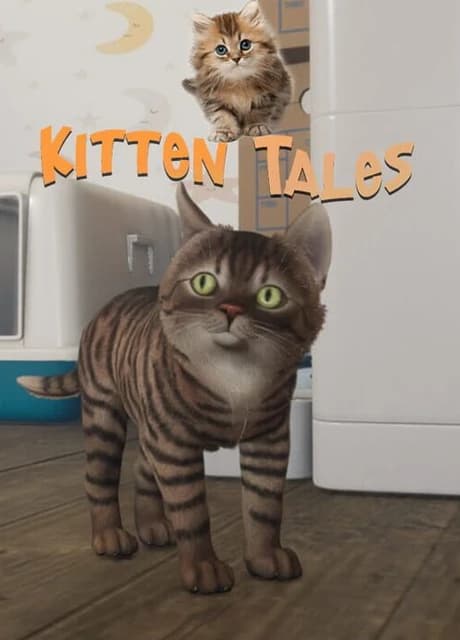 Kitten Tales