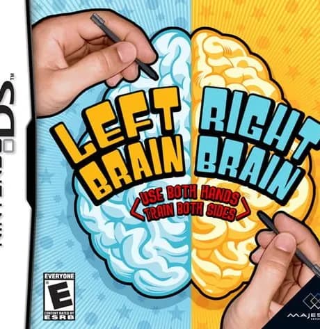 Left Brain Right Brain