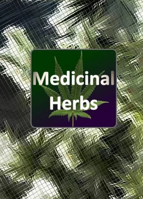 Medicinal Herbs: Cannabis Grow Simulator