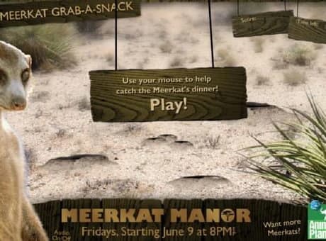 Meerkat Manor: Meerkat Grab-A-Snack