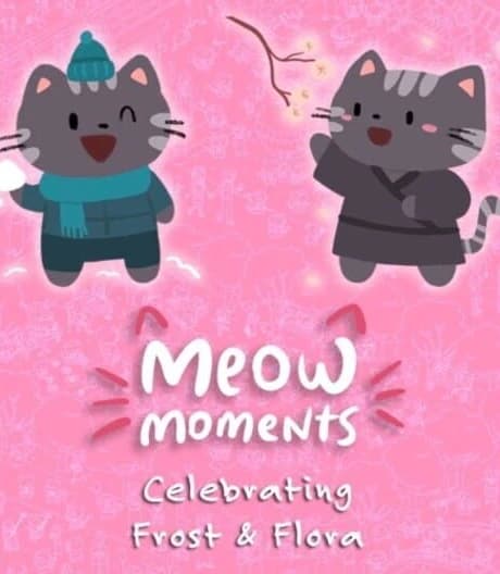 Meow Moments: Celebrating Frost & Flora