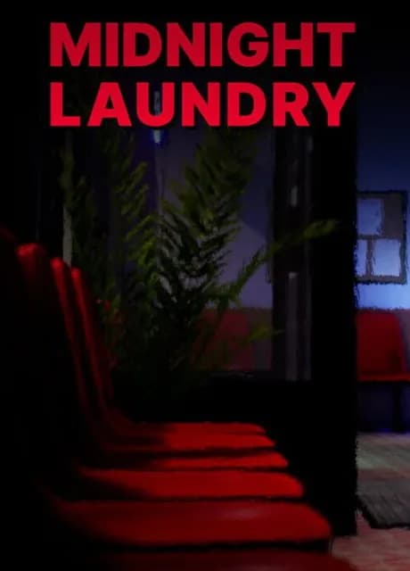 Midnight Laundry