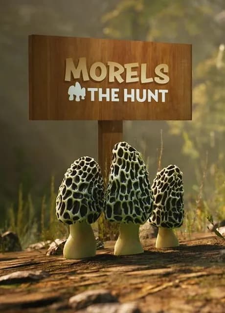 Morels: The Hunt